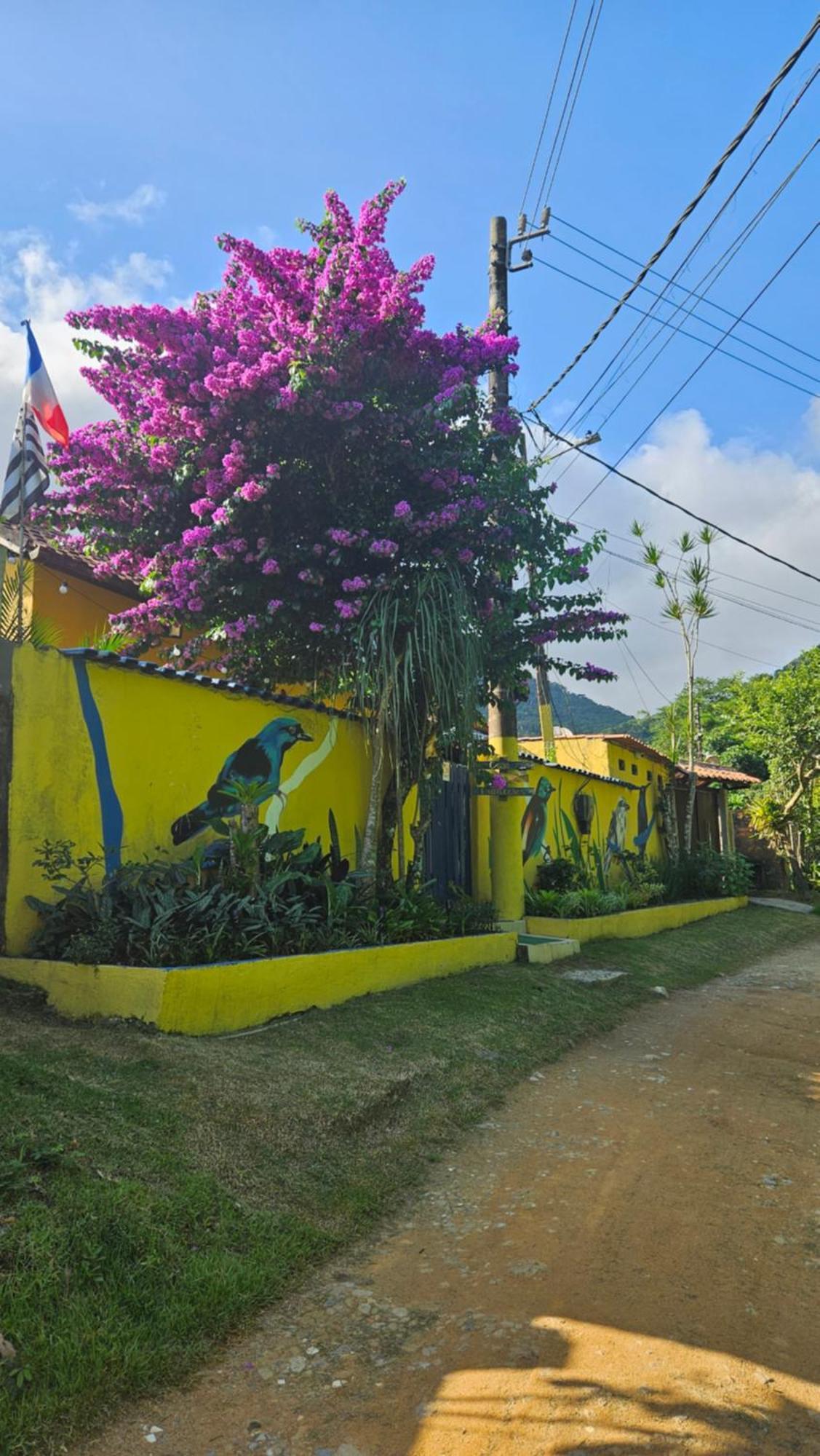 Вілла Casa Dos Franceses Ilha Grande Екстер'єр фото