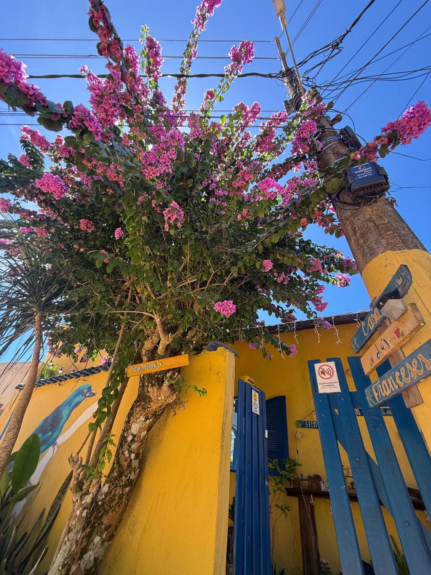 Вілла Casa Dos Franceses Ilha Grande Екстер'єр фото