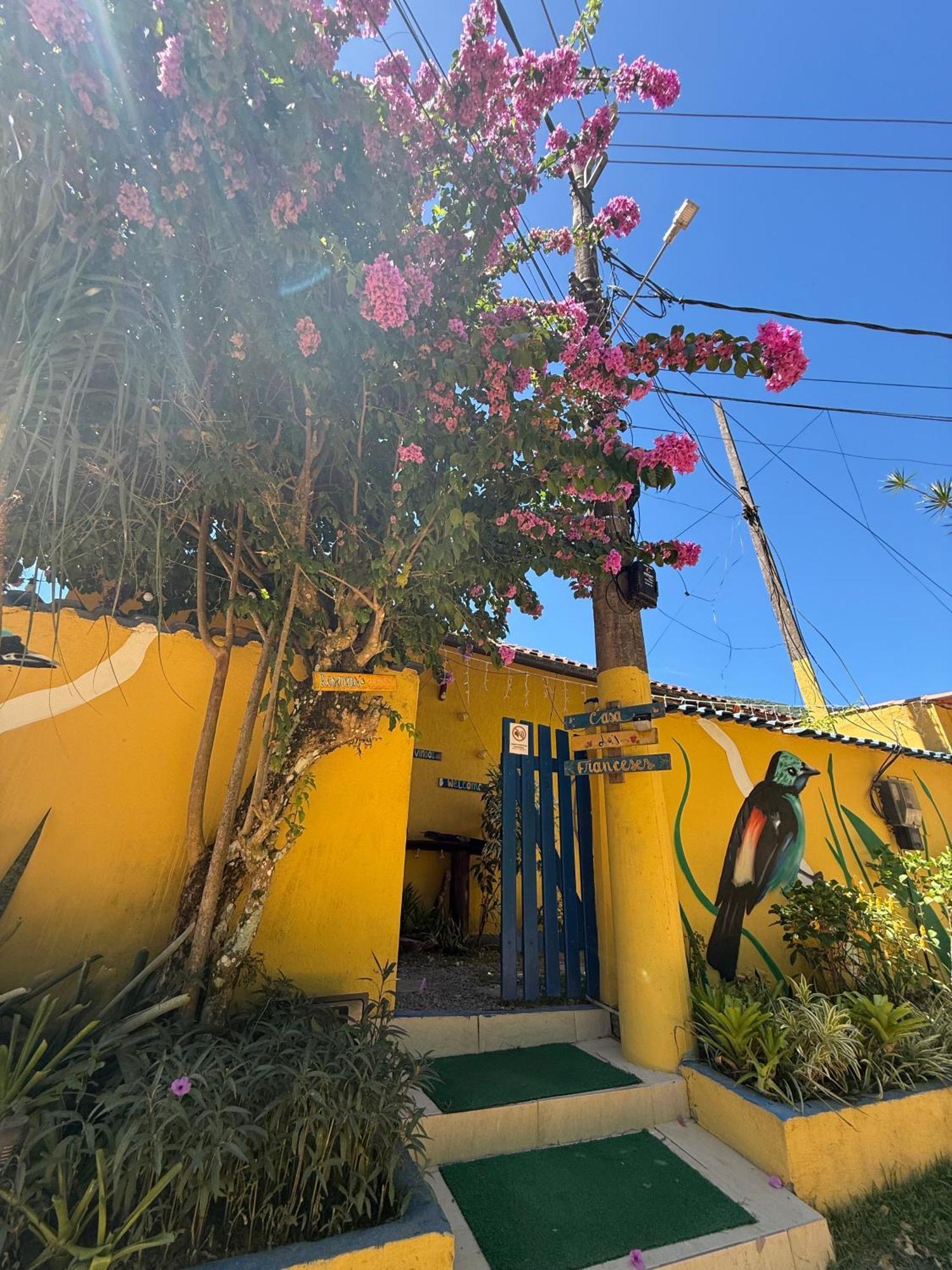Вілла Casa Dos Franceses Ilha Grande Екстер'єр фото